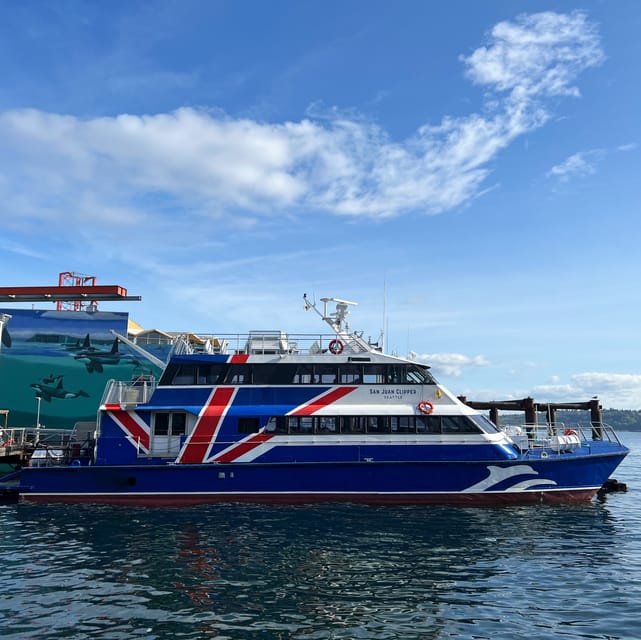 Seattle: Half-Day Wildlife and Whale Watching Cruise - Food, drinks, and motion comfort