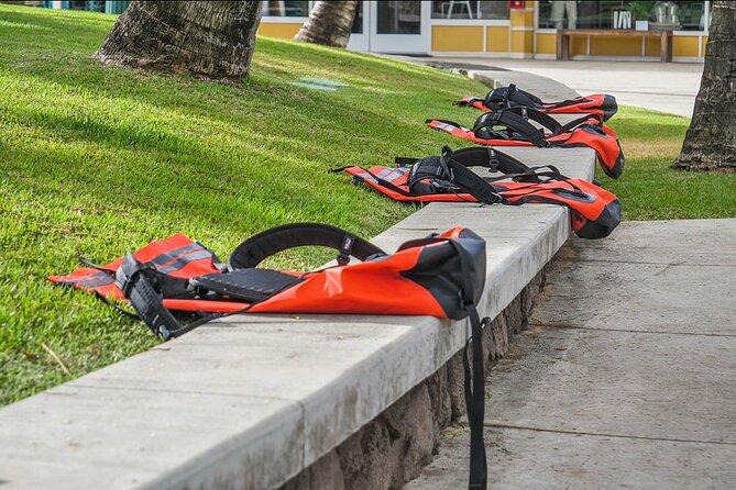 Secret Falls Kayak & Hike Guided Adventure on the Wailua River - Guides, safety, and the small-group advantage