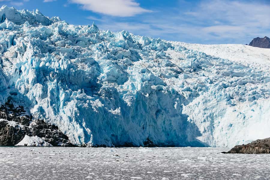 Seward: Kenai Fjords National Park Catamaran Cruise w/Lunch - Key details before you book
