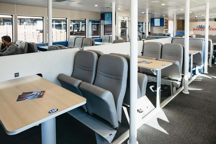 Seward: Kenai Fjords National Park Catamaran Cruise w/Lunch - Who should book this Seward cruise?