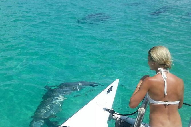 Shallow Water Snorkeling and Dolphin Watching in Key West - A small boat from Key West Bight
