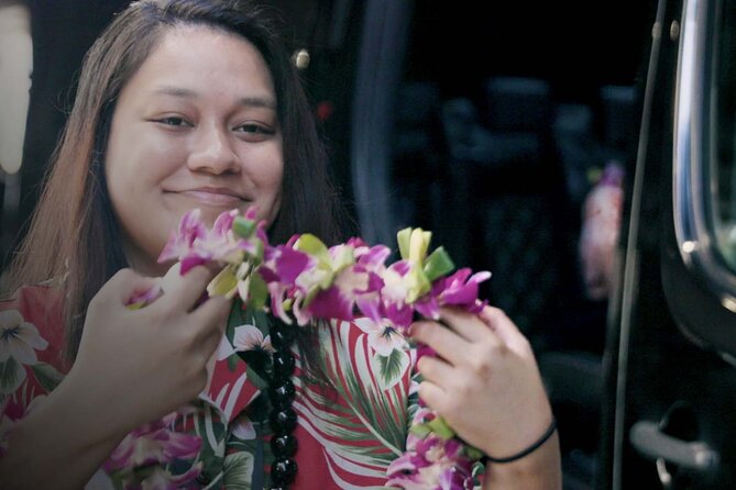 Shared Round-Trip Transfer: Honolulu Airport to Hotel or Cruise Terminal - Waikiki, Kahala, Turtle Bay, and Ko Olina service
