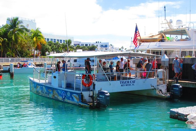 Shark and Wildlife Viewing Adventure in Key West - Comfort, shade, drinks, and photographs