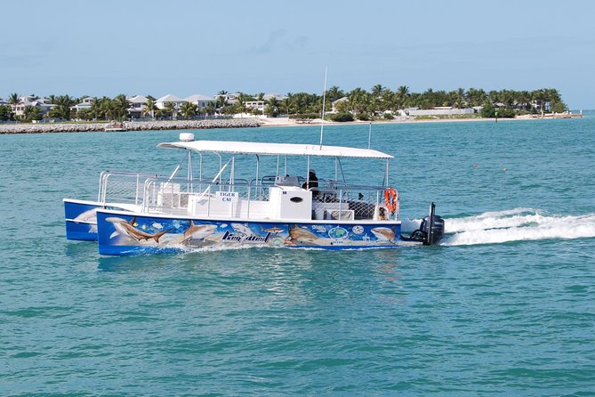 Shark and Wildlife Viewing Adventure in Key West - Is $99 a fair price?