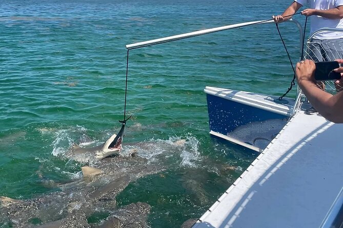 Shark and Wildlife Viewing Adventure in Key West - Who will enjoy this Key West shark tour?