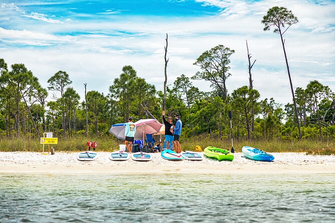 Shell Island Inflatable Adventure Park & Dolphin Sightseeing Tour - Grand Lagoon and the dolphin search