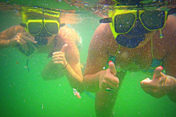 Shell Island Snorkel and Dolphin Catamaran Cruise with Island Time - Snorkeling, paddleboards, and the waterslide