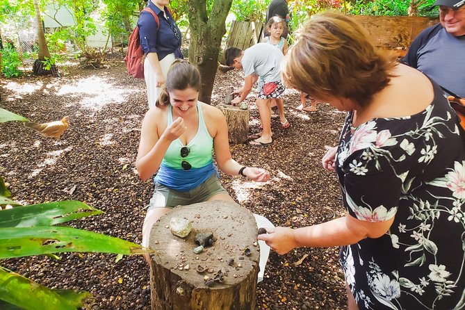 Sights & Bites Ultimate Oahu Circle Island Foodie Tour - Mokoli‘i Island and the windward coast