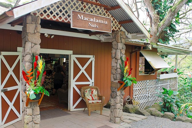 Sights & Bites Ultimate Oahu Circle Island Foodie Tour - North Shore garlic shrimp at Aloha Shrimp