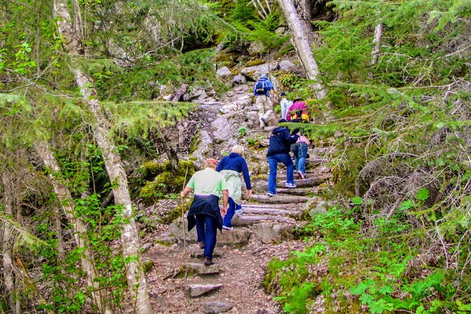 Skagway Shore Excursion Chilkoot Trail Hike and Float Tour - Why this Skagway tour works so well