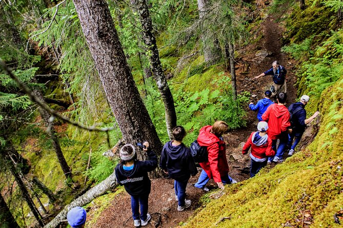 Skagway Shore Excursion Chilkoot Trail Hike and Float Tour - Price, group size, and the value of two activities