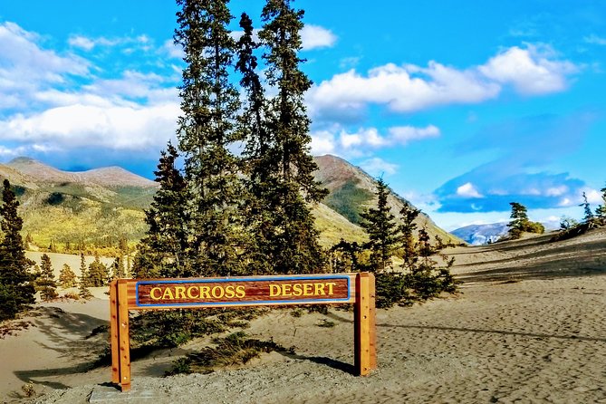 Skagway Shore Excursion: Full-Day Tour of the Yukon - Meeting your minibus beside the cruise ship