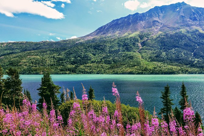 Skagway Shore Excursion: Full-Day Tour of the Yukon - Tagish Lake, Bove Island, and the border signs