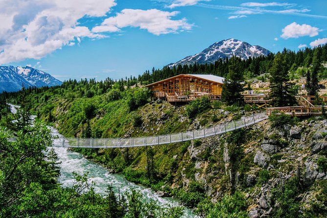 Skagway Shore Excursion: Half-Day Tour to the Yukon Border and Suspension Bridge - Why this road trip beats a simple White Pass ride