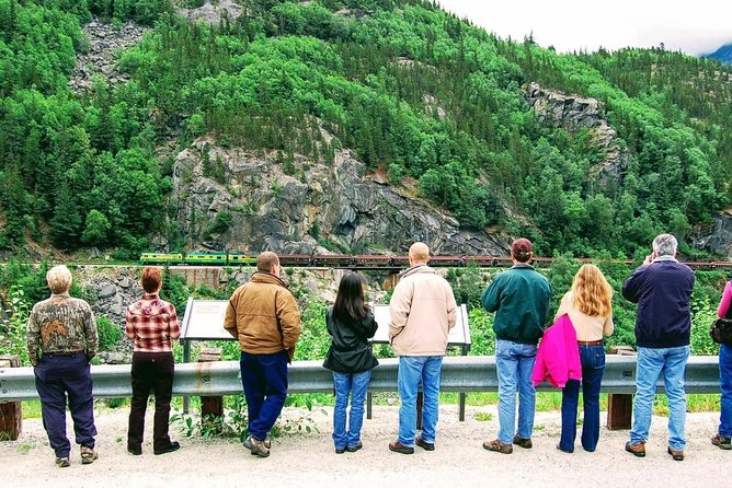 Skagway Shore Excursion: Half-Day Tour to the Yukon Border and Suspension Bridge - The guide can make or break the ride