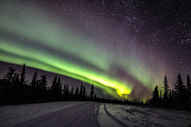 SkyChase™ | Northern Lights Experience - Free Photography & More - Fire-cooked food and the mobile lodge