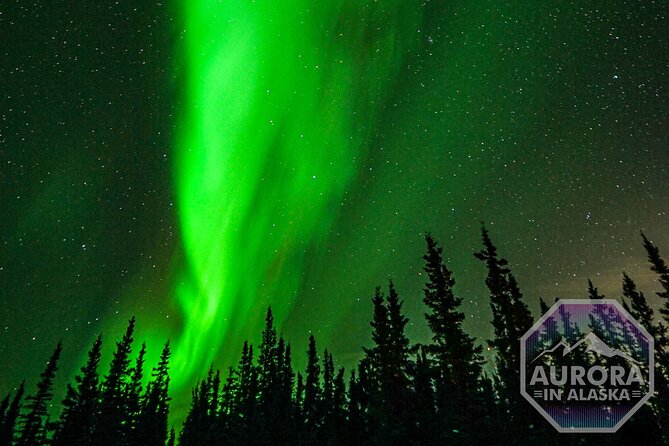 SkyChase™ | Northern Lights Experience - Free Photography & More - Photography help that adds real value
