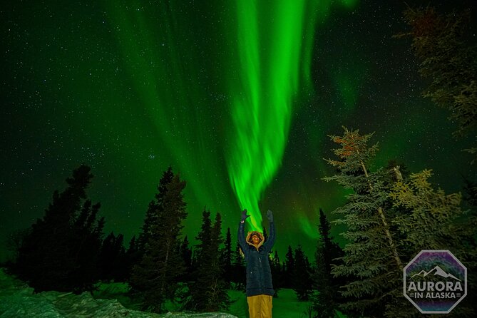 SkyChase™ | Northern Lights Experience - Free Photography & More - The cold-weather reality
