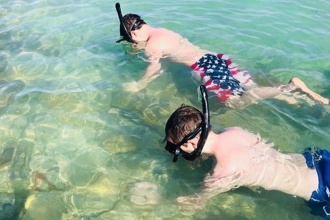 Small Group 2 Hour Dolphin Cruise with Snorkeling to Shell Key - Shell Key: shells first, snorkeling second