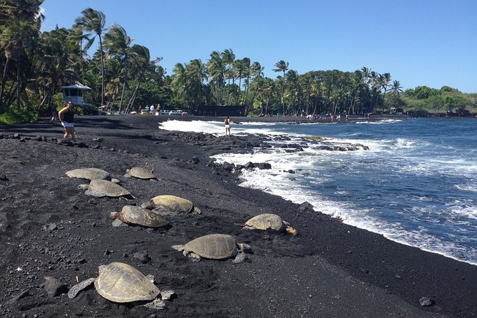Small-Group Big Island Tour: Hawaii Volcanoes National Park and Kona Coffee Farm - A full island day from Kona to Kīlauea