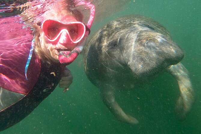 Small Group Manatee Snorkel Tour with In-Water Guide and Photographer - Meeting the Salty Siren crew in Crystal River