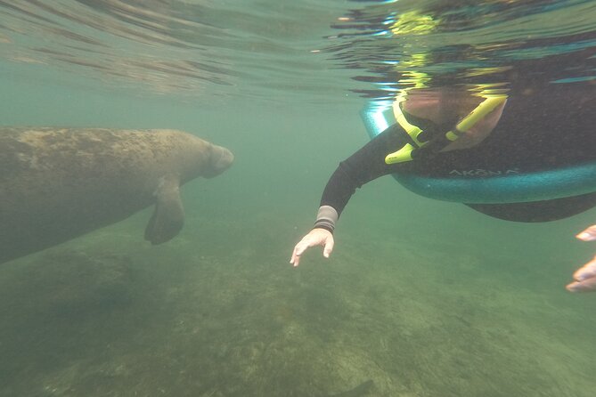 Small Group Manatee Snorkel Tour with In-Water Guide and Photographer - Photos and videos for an extra charge