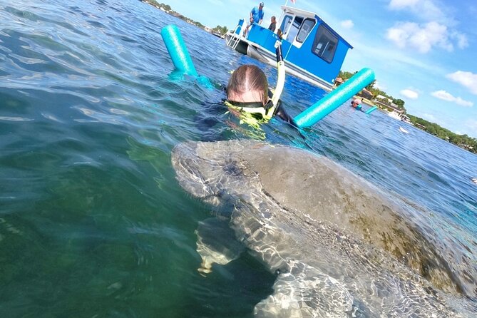 Small Group Manatee Snorkel Tour with In-Water Guide and Photographer - What $89.99 actually covers