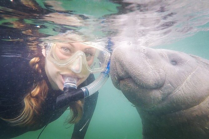 Small Group Manatee Snorkel Tour with In-Water Guide and Photographer - A short van ride and a warm boat