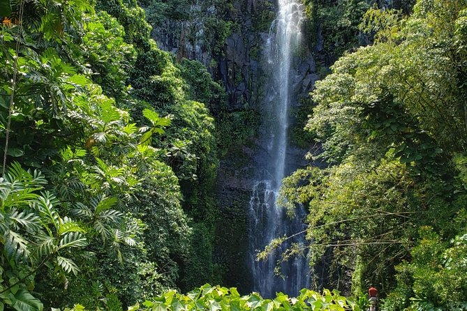 Small-Group Road to Hana Adventure Tour with Pickup & Lunch - Key points to know before you book