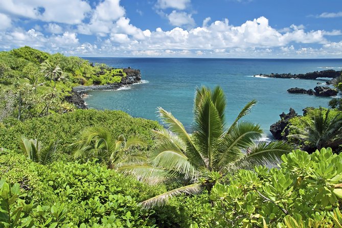 Small-Group Road to Hana Adventure Tour with Pickup & Lunch - Why this Road to Hana tour works well