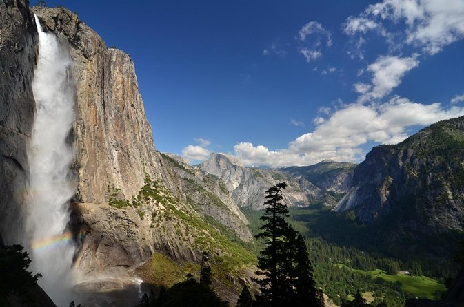 Small Group Yosemite and Giant Sequoias Day Trip from San Francisco - Tuolumne Grove and the first big walk