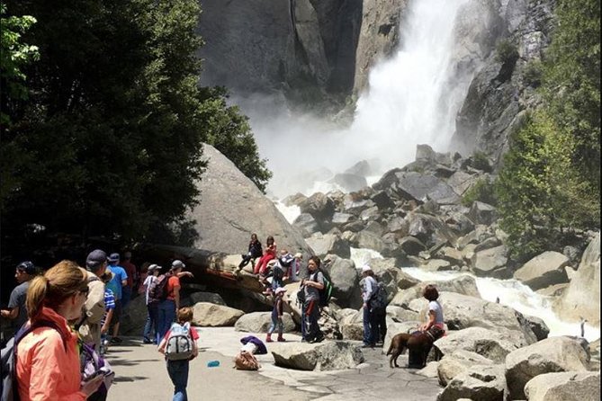 Small Group Yosemite and Giant Sequoias Day Trip from San Francisco - El Capitan turns granite into a live show