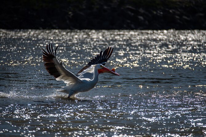 Snake River Scenic Float - What the river portion feels like
