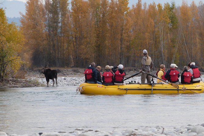 Snake River Scenic Float Trip with Teton Views in Jackson Hole - Eagle watching, moose, otters, and river birds