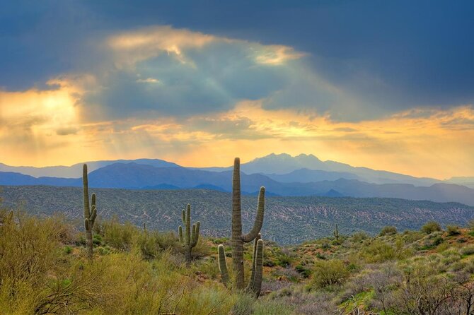 Sonoran Desert Jeep Tour at Sunset - Quick takeaways