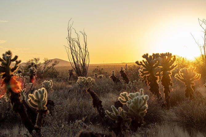 Sonoran Desert Jeep Tour at Sunset - Leaving Scottsdale for Tonto National Forest