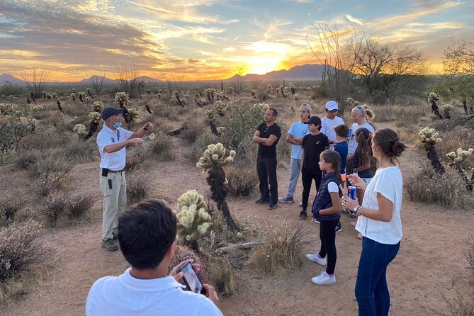 Sonoran Desert Jeep Tour at Sunset - The sunset viewpoint is worth planning around