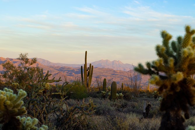 Sonoran Desert Jeep Tour at Sunset - Who should book, and who should skip it