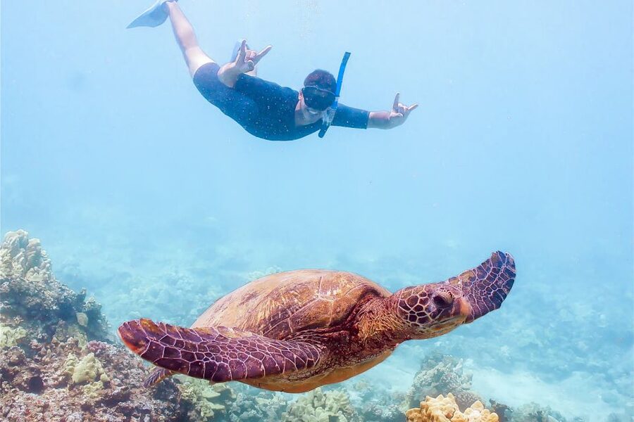 South Maui: Molokini Snorkeling Adventure - Why Molokini is the main event