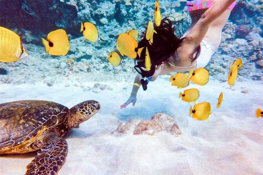 South Maui: Molokini Snorkeling Adventure - What the crew does well