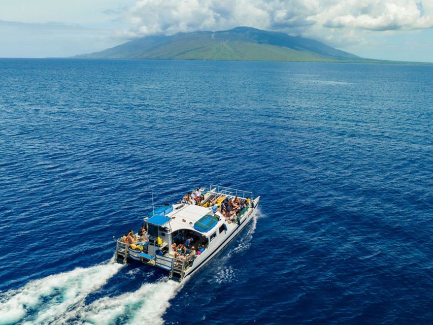 South Maui: Molokini & Turtle Town Snorkeling Tour with Meal - Is $159 a fair price?