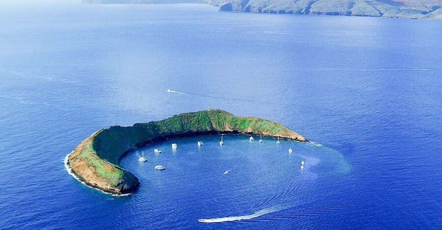 South Maui: Molokini & Turtle Town Snorkeling Tour with Meal - Turtle Town adds a different kind of wildlife encounter