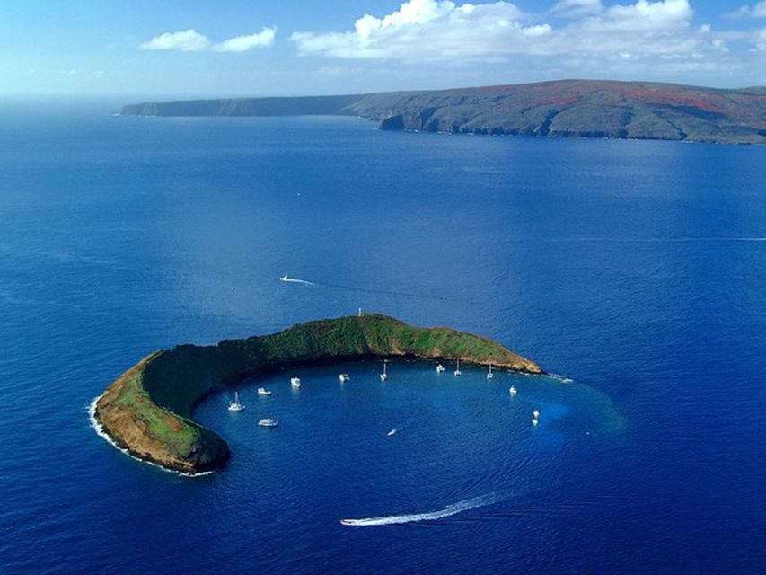 South Maui: Snorkel to Coral Gardens or Molokini Crater - Who should book this cruise?
