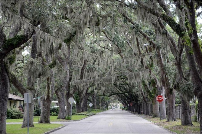 St. Augustine Hop-On Hop-Off Trolley Tour - How the guides shape the experience