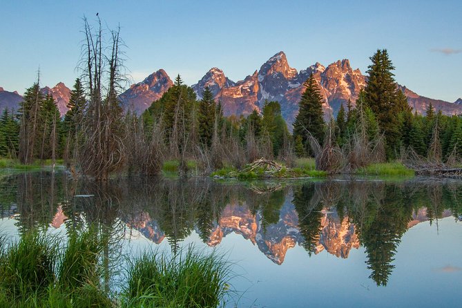 Sunrise 4-Hour Grand Teton Wildlife Adventure - Quick points before you book