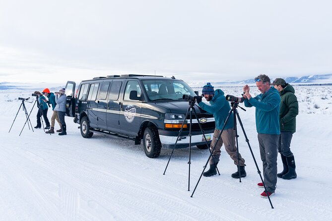 Sunrise 4-Hour Grand Teton Wildlife Adventure - Mountain scenery beyond the animals