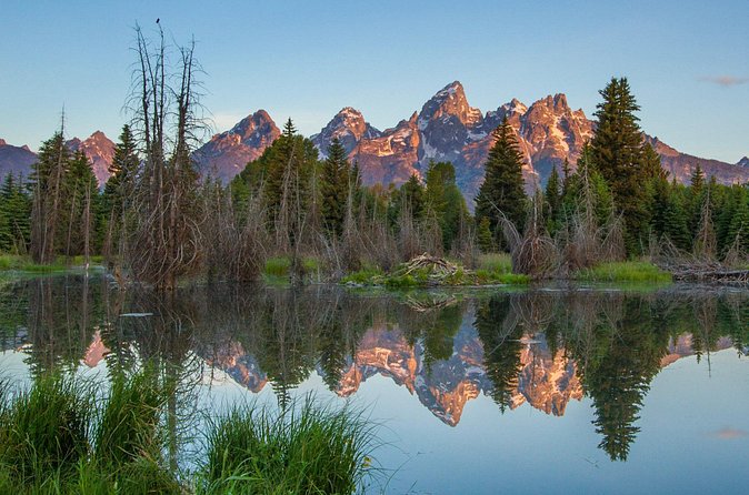 Sunrise 4-Hour Grand Teton Wildlife Adventure - Breakfast, coffee, and comfort in the cold