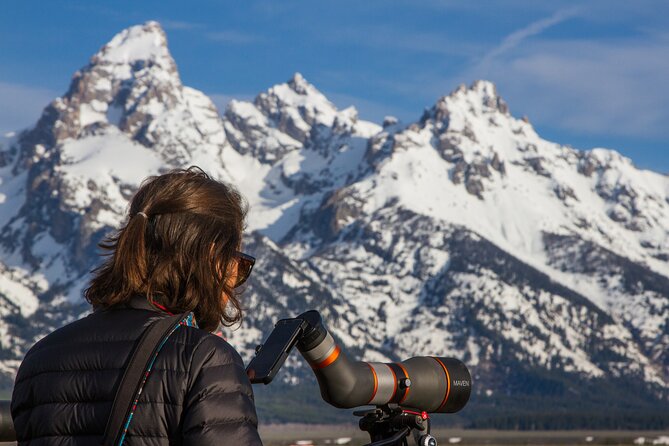 Sunrise 4-Hour Grand Teton Wildlife Adventure - Is the $198 price fair?