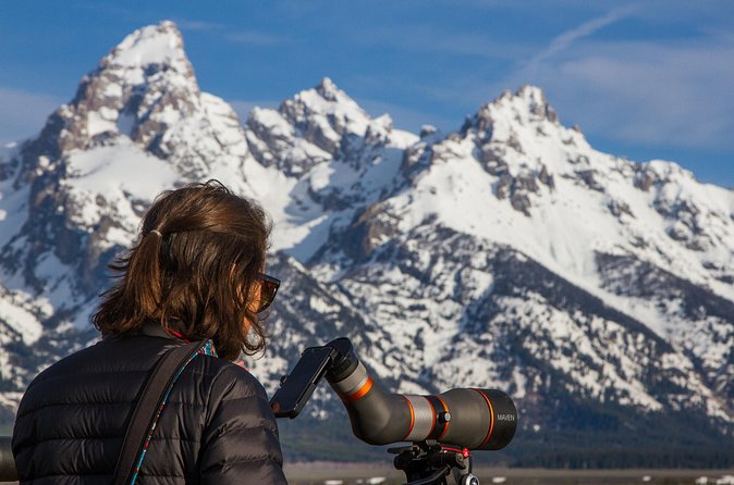 Sunrise 4-Hour Grand Teton Wildlife Adventure - The guides make the biggest difference