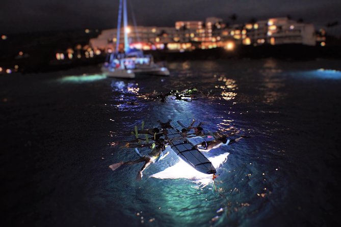 Sunset and Manta Ray Snorkel Adventure - Why the night snorkel is so special